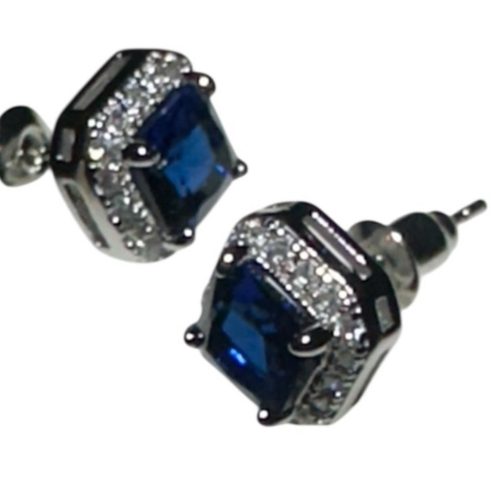 Earrings Elegant Blue and Silver Stud Earrings